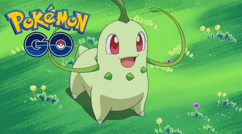 chikorita pokemon anime