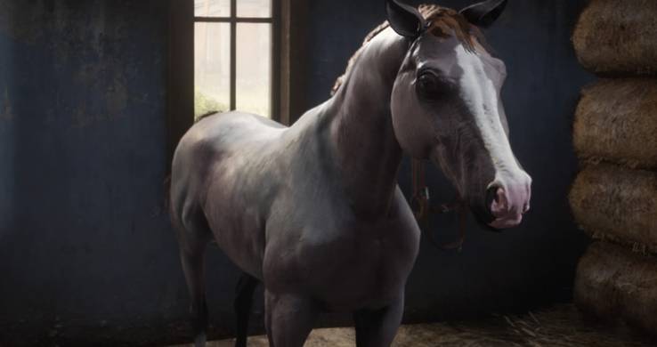 Every Horse In Red Dead Redemption 2 Ranked From Worst To Best