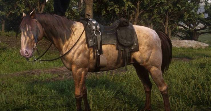 Every Horse In Red Dead Redemption 2 Ranked From Worst To Best