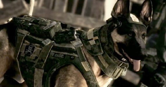 Riley the Dog in 'Call of Duty Ghosts'