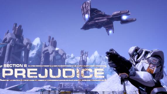 Section 8 Prejudice Review