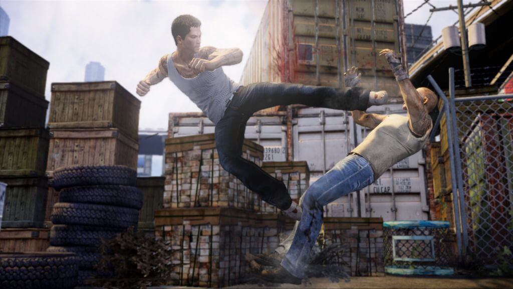 Sleeping Dogs Kick