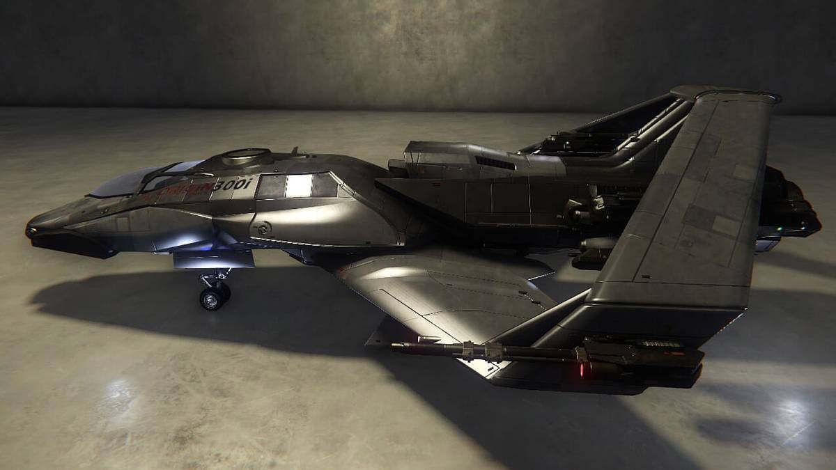 Star Citizen 300i screenshot