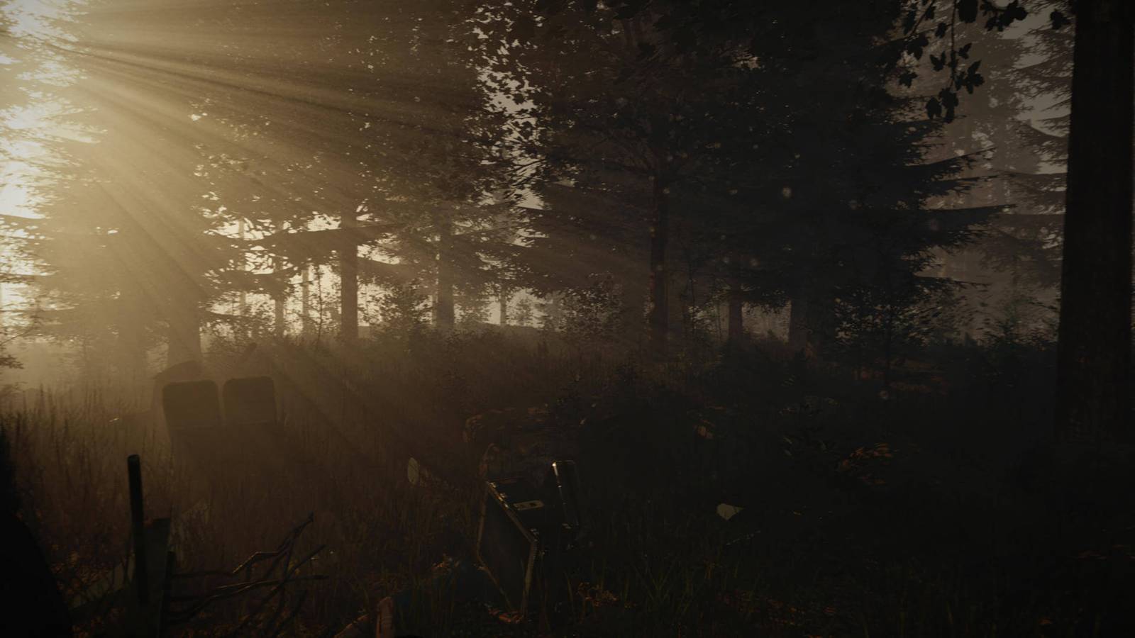 The Forest Screenshot Refuse