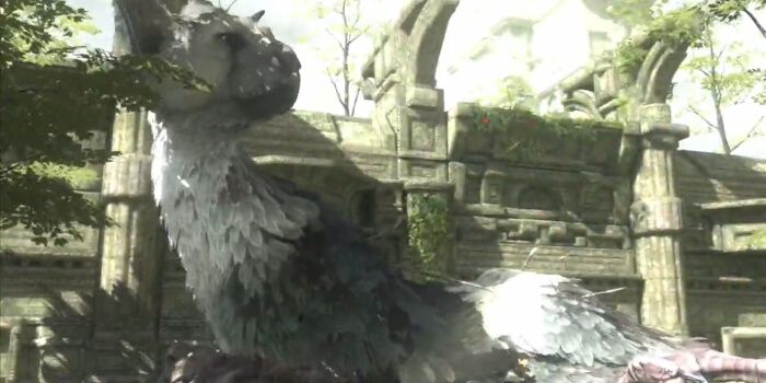 The Last Guardian PS Nation Rumor