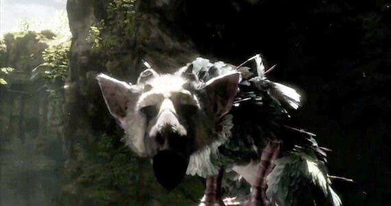 The Last Guardian Unlikely for 2013
