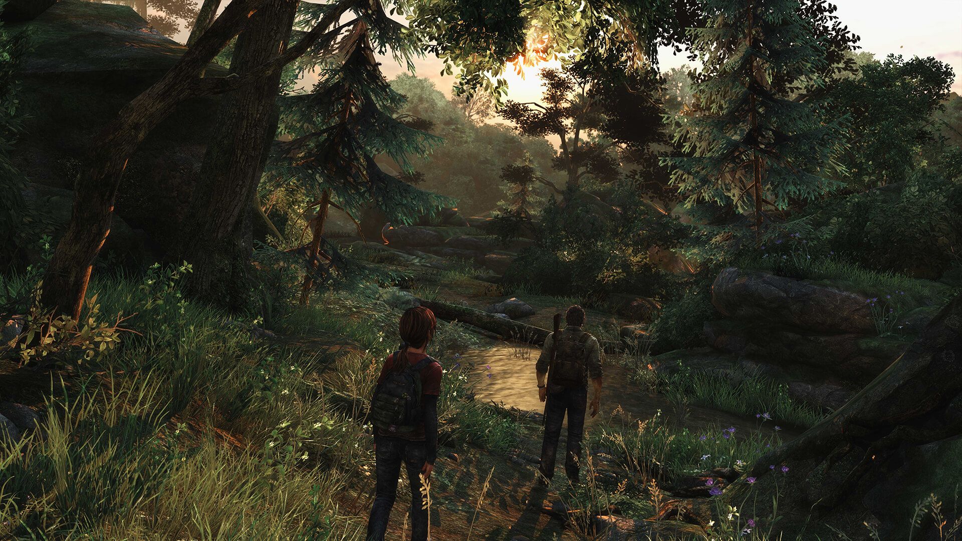The Last Of Us Remastered Screenshots Forest