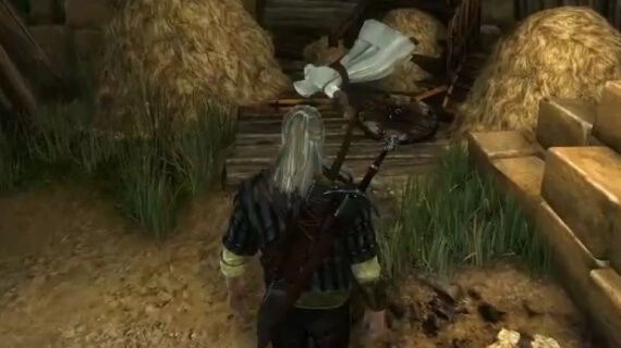 The Witcher 2 Assassins Creed Easter Egg