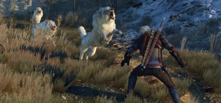 The Witcher 3 Wolf Attack Header