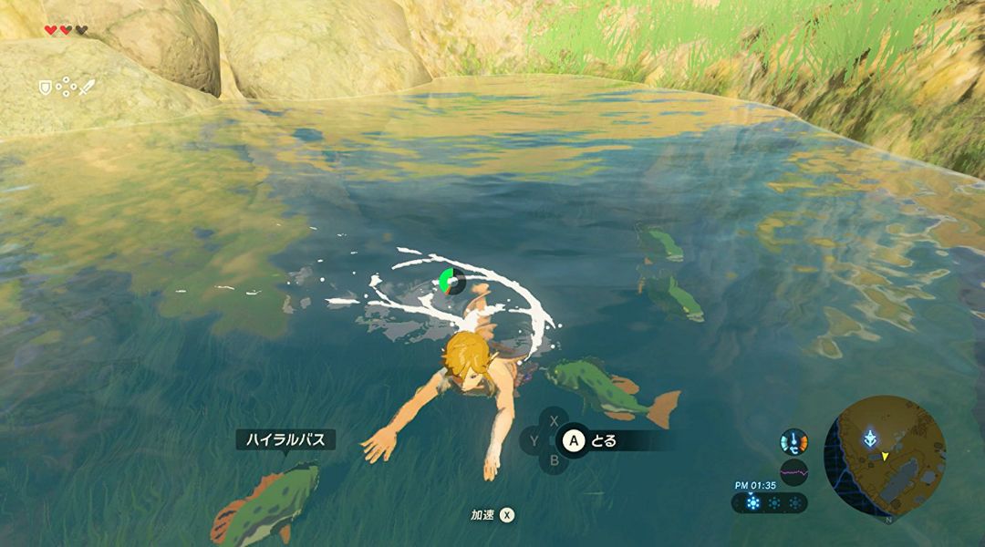 The_Legend_of_Zelda_Breath_of_the_Wild_underwater_glitch