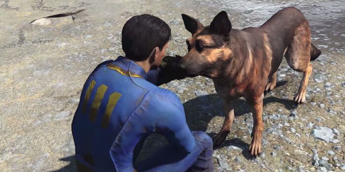 Vault Survivor Dogmeat New Fallout 4 Companion Details Quakecon