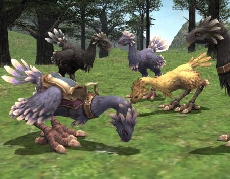 Video Game Pets Chocobo Final Fantasy