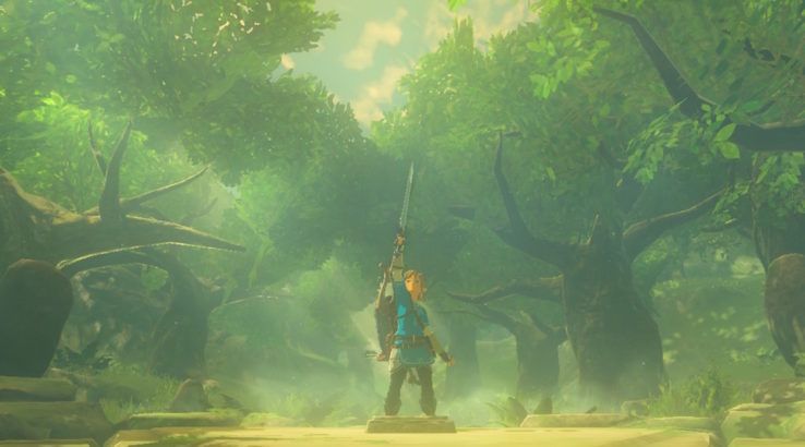 Zelda Breath of the Wild Master Sword bug