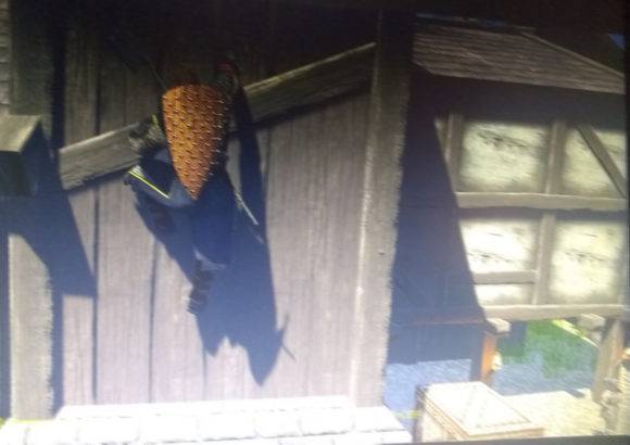 assassin's creed ranarok screenshot leak