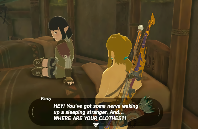 botw npc