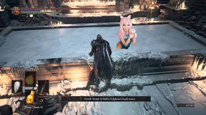 darks souls estrus flask bath water meme