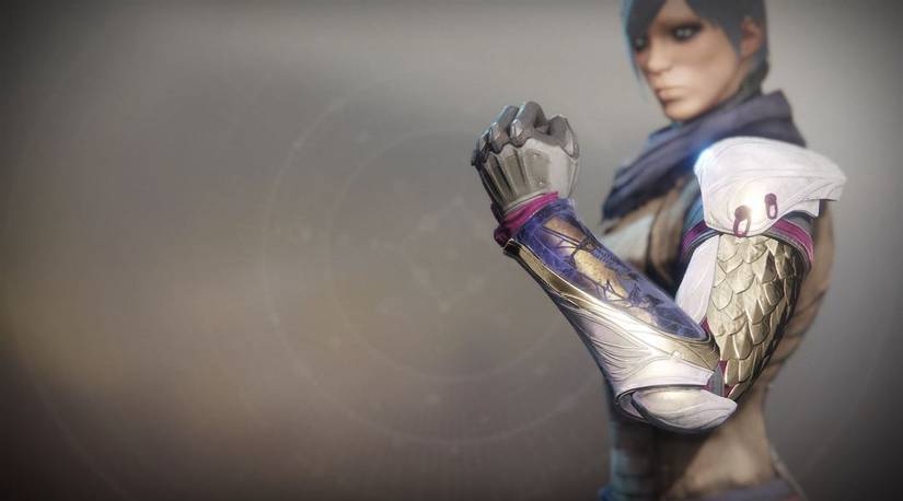 destiny 2 forsaken oathkeeper exotic