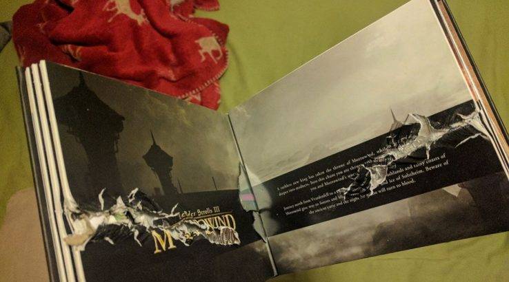 Copy of The Elder Scrolls Saves Gamer's Life - Elder Scrolls anthology bullet damage