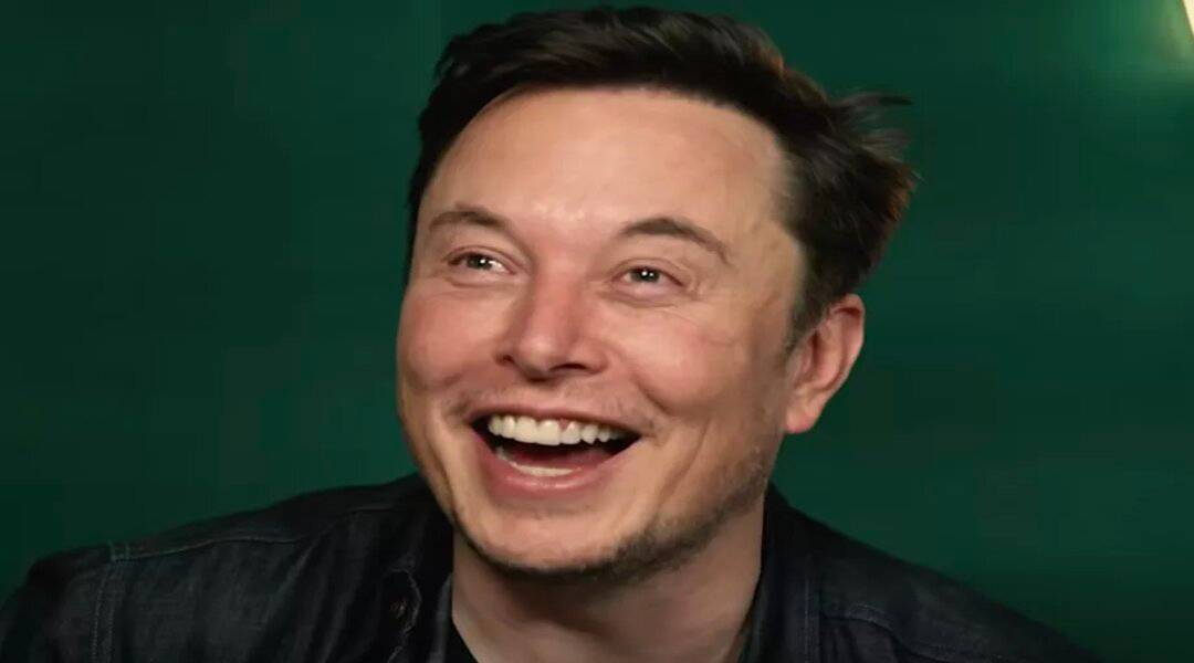 elon musk meme review