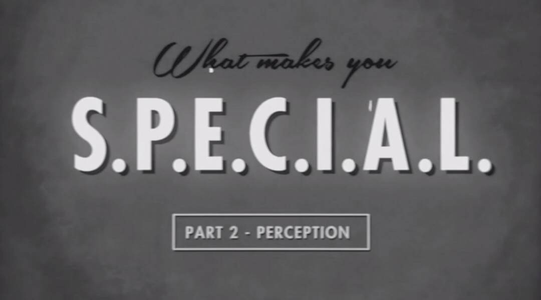 youre special baby book fallout 4