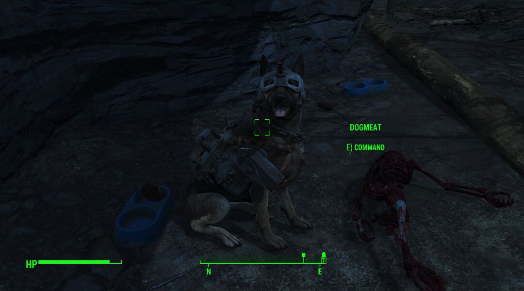 Fallout 4 put armor on dogmeat - mahasystem