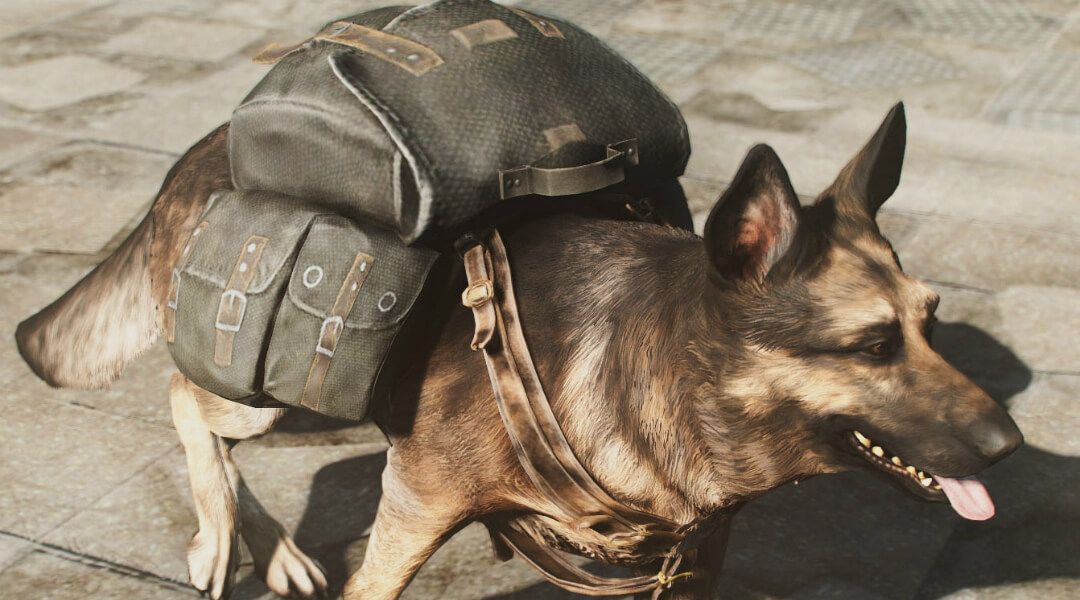 how to equip dog armor fallout 4