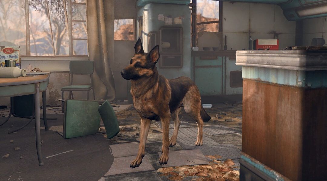 Fallout 4 Player Killed By Dogmeat