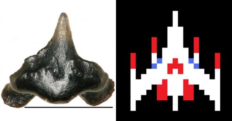 galagadon teeth galaga spaceship comparison
