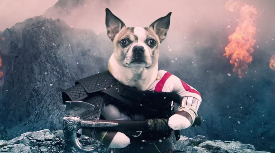 God of War Dog Trailer
