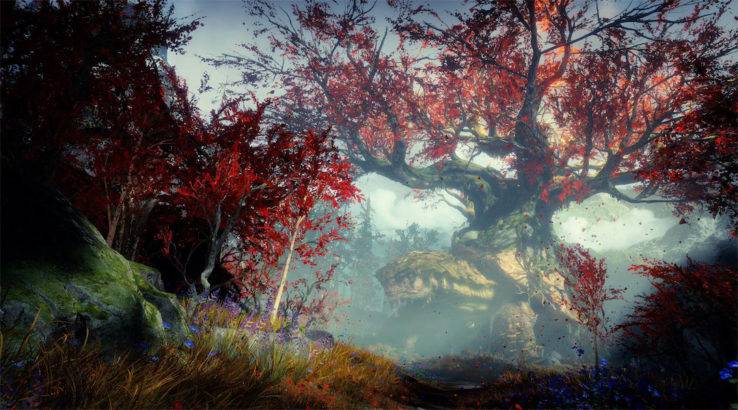 god-of-war-photo-mode-release-date-turtle