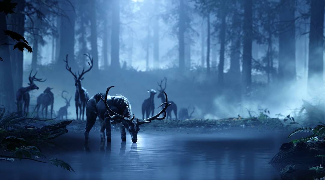 halo infinite release date rumor