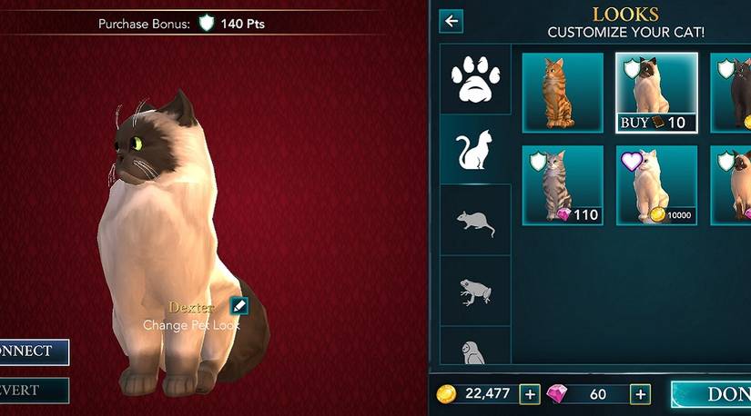 harry potter hogwarts mystery cat pet look notebooks