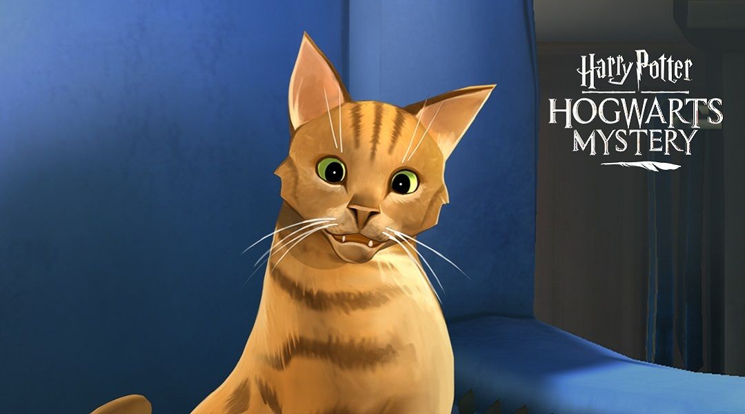 harry potter hogwarts mystery cat