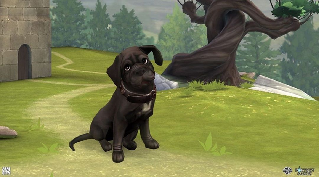 harry potter: hogwarts mystery fang puppy