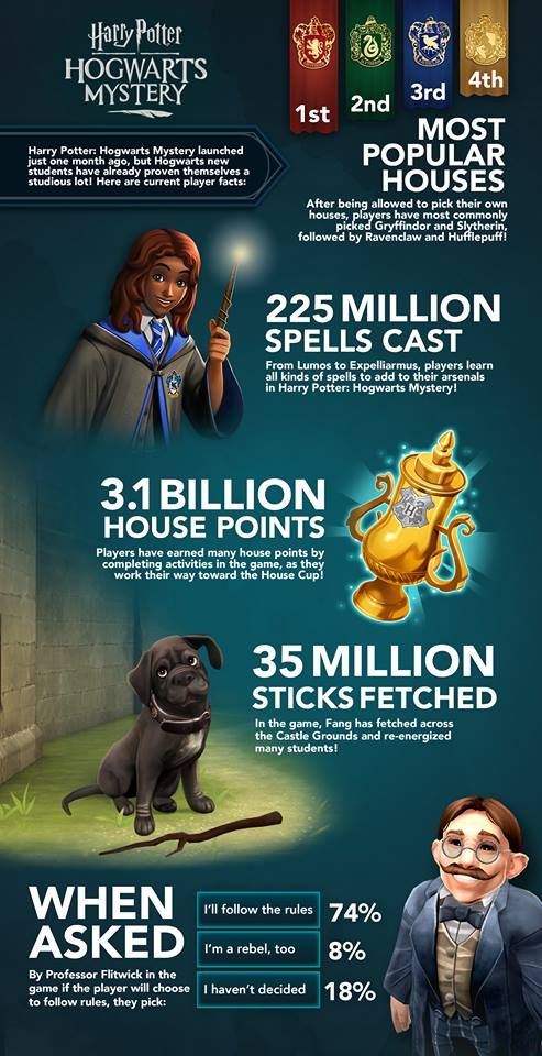 harry potter hogwarts mystery infographic