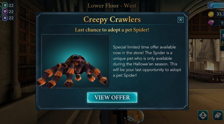 harry potter hogwarts mystery last chance to adopt spider pet