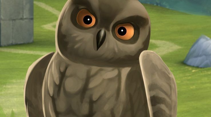 harry potter hogwarts mystery adds pets owl