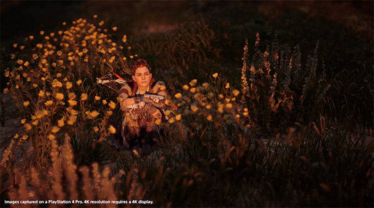 horizon-zero-dawn-patch-120-details-aloy-field