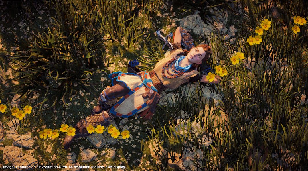 horizon-zero-dawn-patch-120-details