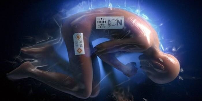 Ion Reveal from DayZ creator - Human in bag