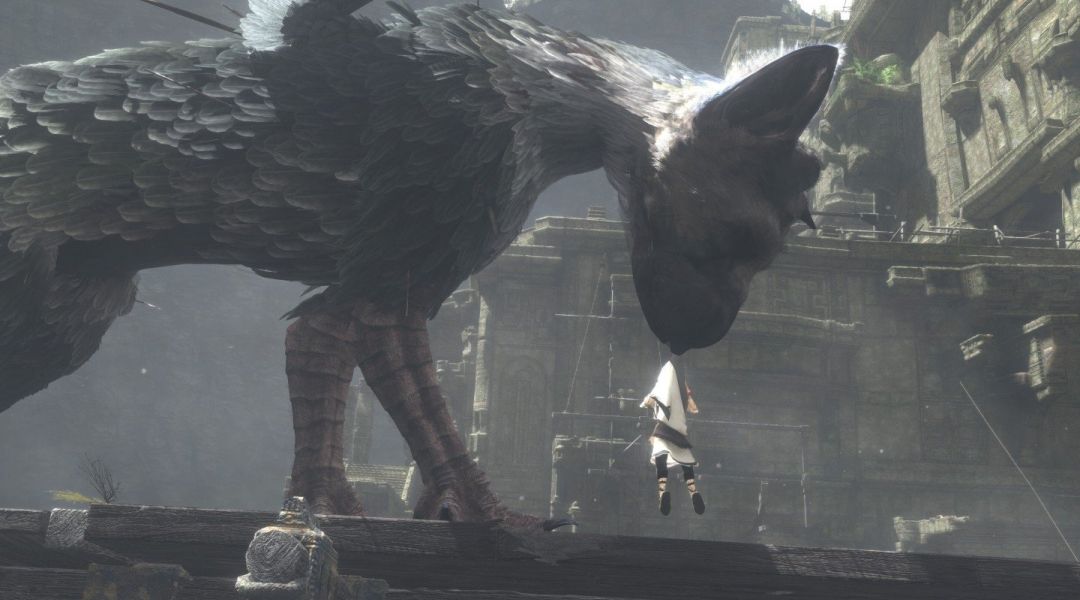 Shadow of the Colossus and The Last Guardian developers tease