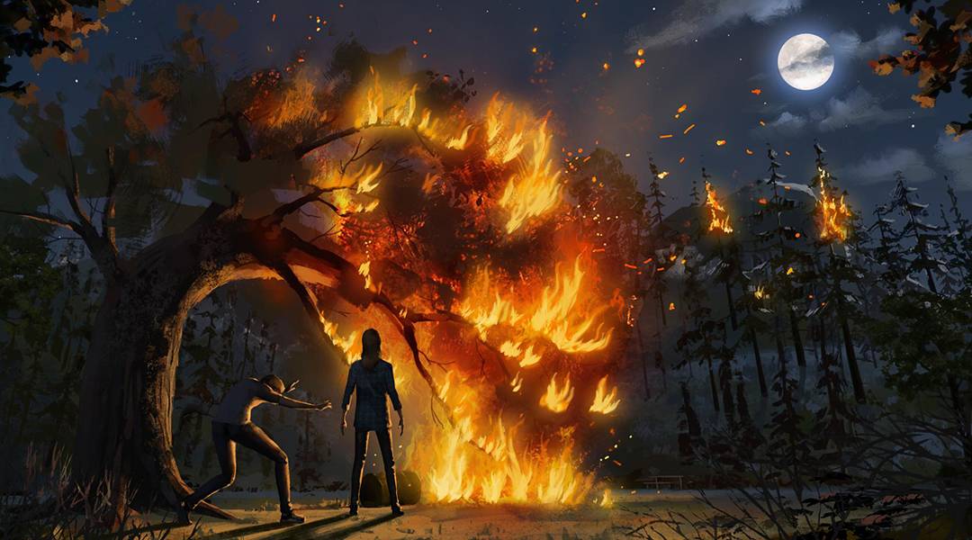 life is strange prequel