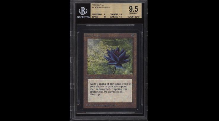 magic the gathering black lotus card