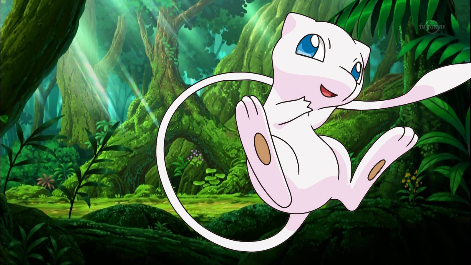 mew-pokemon