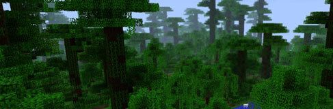 Minecraft Jungle Biome