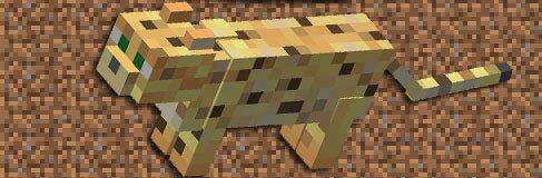 Minecraft Adventure Guide with the Ocelot