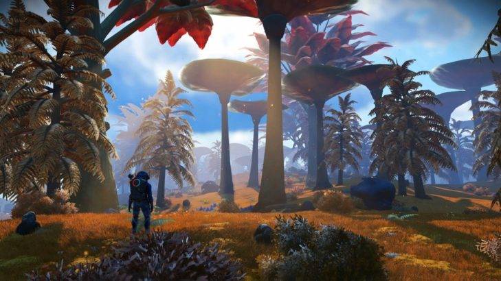 Mushroom forest planet