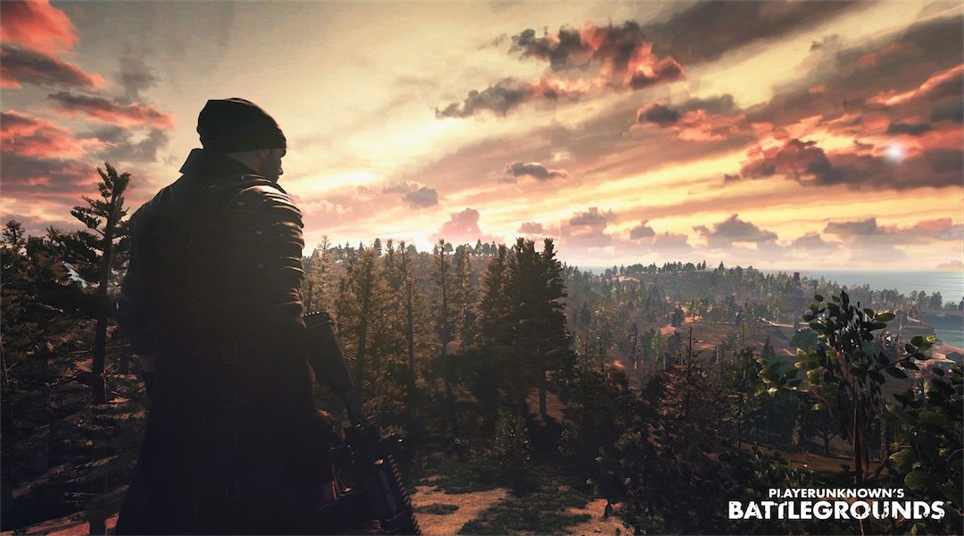 PlayerUnknowns Battlegrounds Ditches Patch Schedule Over Quality Concerns