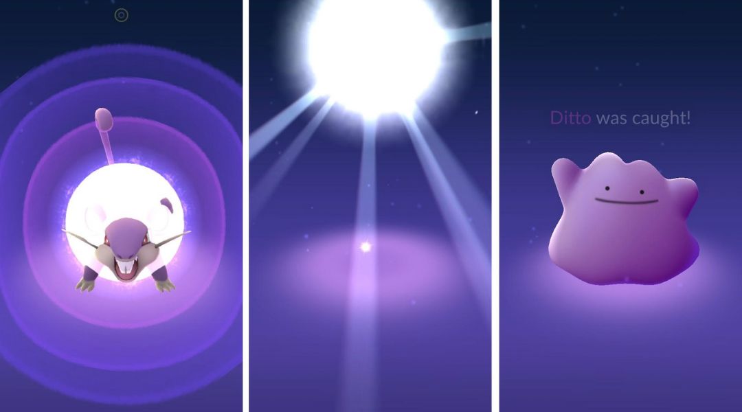 Ditto FAQ - Pokemon Go