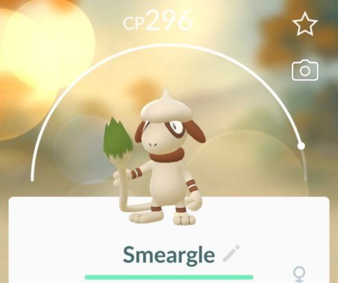 pokemon go smeargle caught